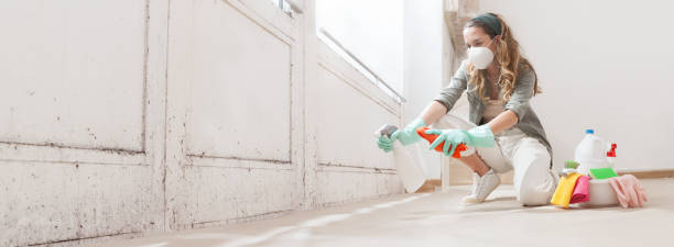 Best Residential Mold Inspection & Testing  in Girard, PA